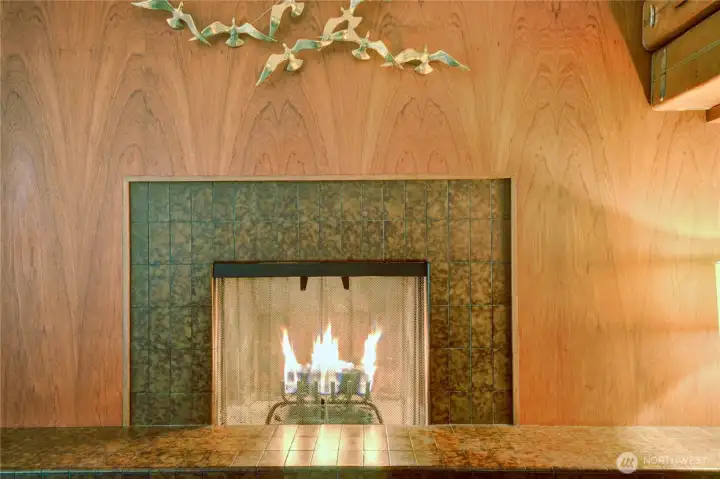 Wood fireplace