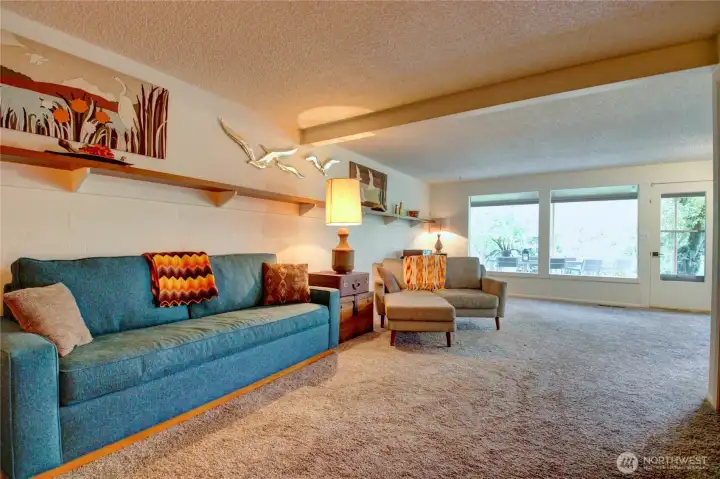 Downstairs family room