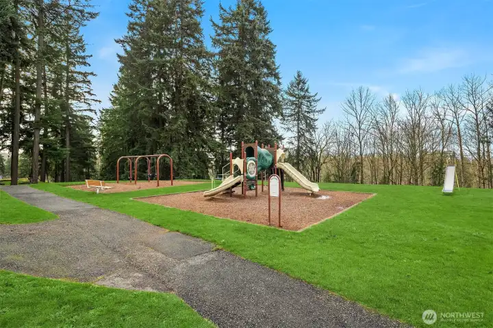 Community Park.  Grass digitally enhanced