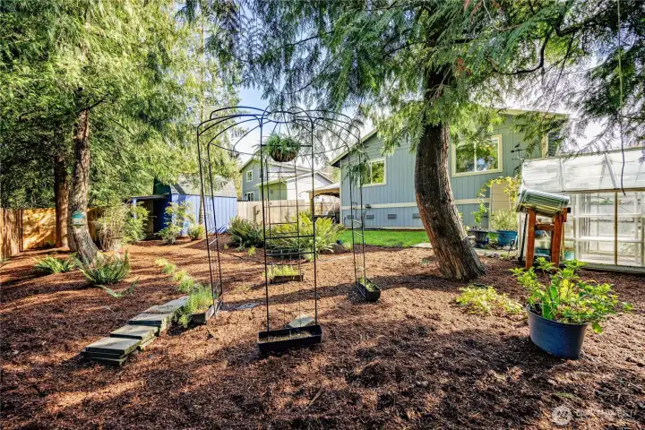 Another view of the backyard.