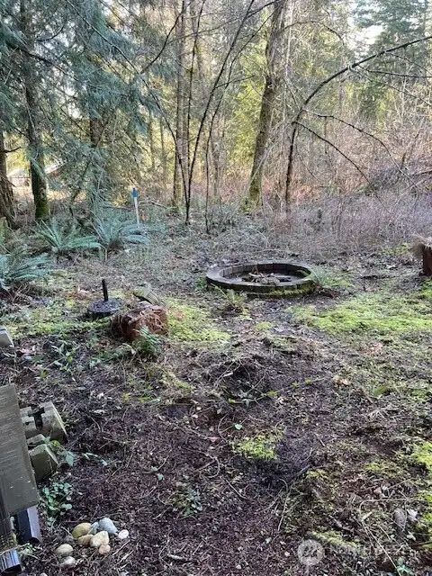 Fire pit to gather around and roast smores