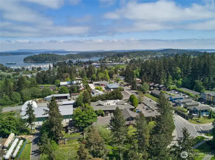 Towering evergreens cradle this well-established in-town community, where the property sits within easy reach of Friday Harbor's library, schools, shops, and waterfront — the ideal blend of nature and convenience.