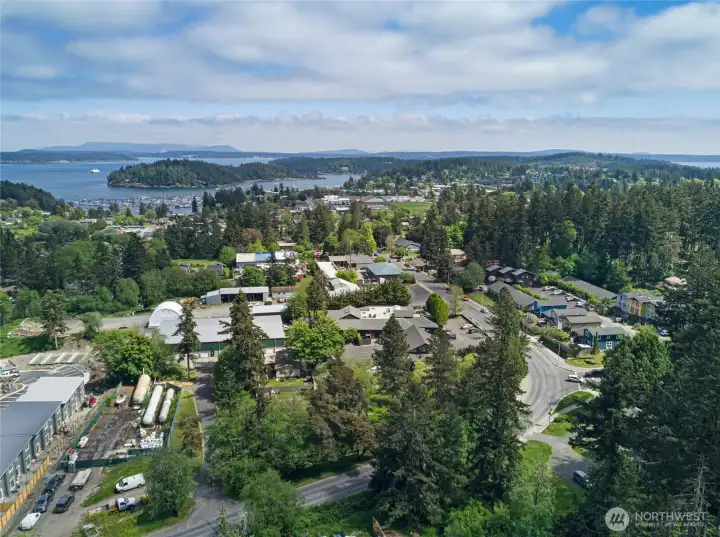Lush Pacific Northwest conifers frame this charming in-town community, offering a rare balance of privacy and proximity — just minutes from downtown Friday Harbor, the ferry landing, and the island's vibrant waterfront.