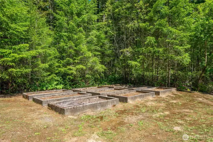 Raised garden beds ready to plant whatever vegetables and berries you'd like to harvest. Raised garden beds ready to plant whatever vegetables and berries you'd like to harvest.