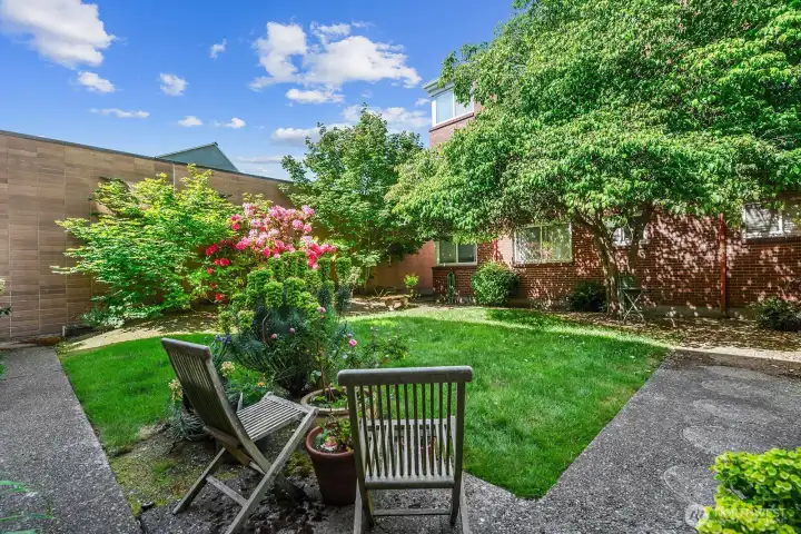 Southern facing courtyard available to all residents.
