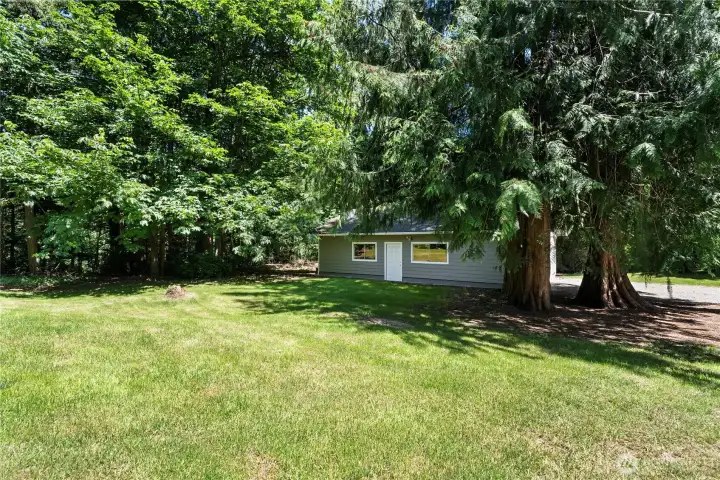 Backyard with detached garage