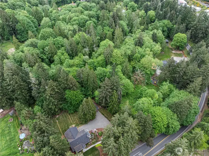 Wooded privacy behind the home is mostly level with lots of possibilities.
