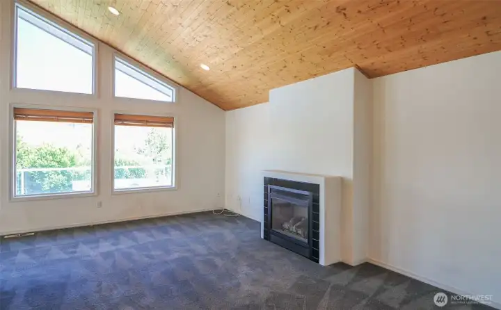 LIVING ROOM WITH GAS FIREPLACE