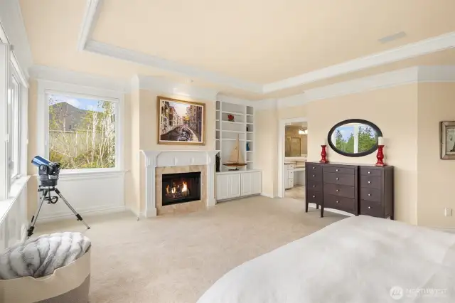 Enjoy your own fireplace & built-in library shelving.