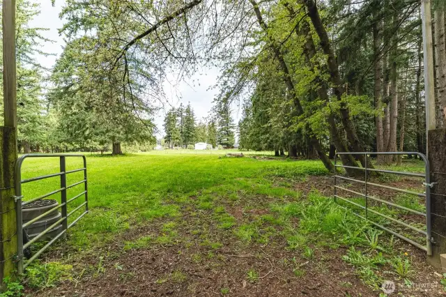 2 acres of fully fenced pasture
