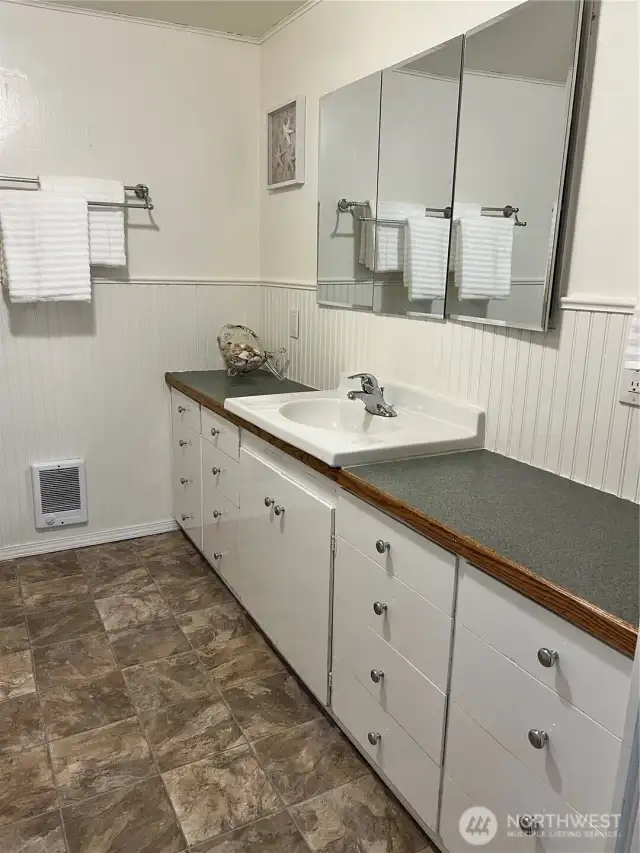 Main bath- Full bath. Lots of storage!