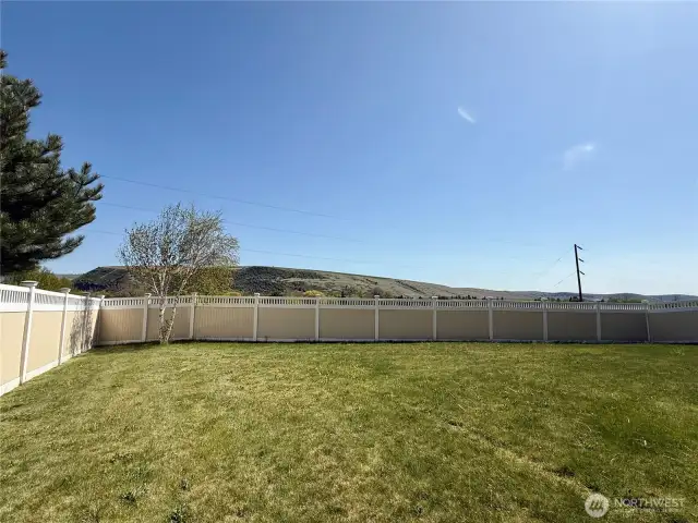 Fenced Backyard