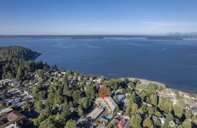 Get a sense of location. Very close to Loman Beach and Lincoln Park with easy access to the Junctions in West Seattle via Fauntleroy and the C-line.