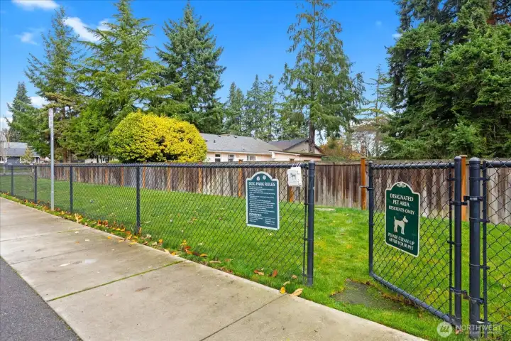 Fenced dog play area.