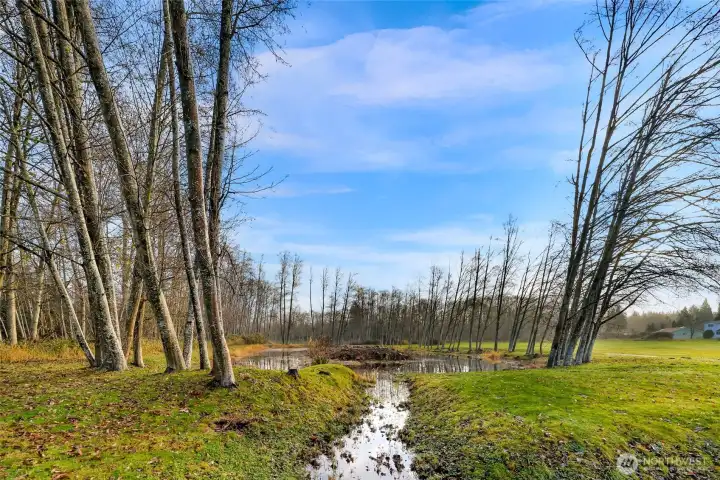 Across the street Lincoln Greens park