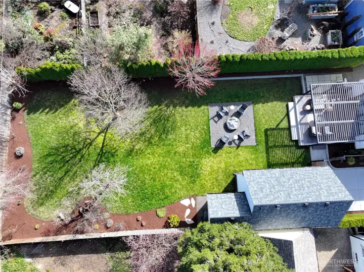 Top view of the back yard