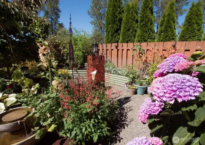 In the Spring this backyard is popping