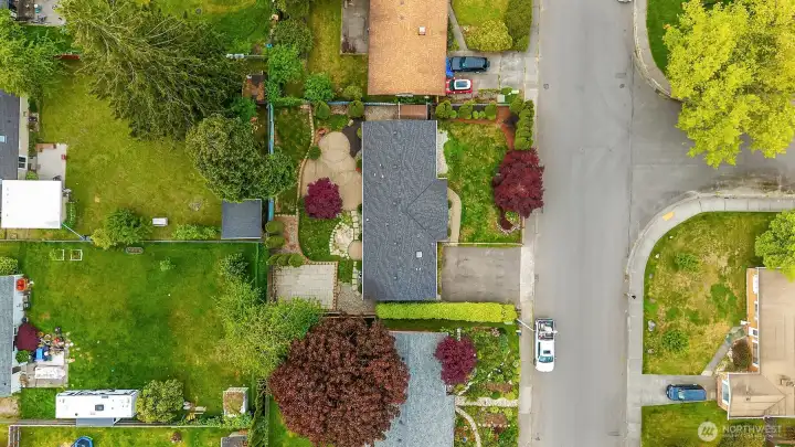 Aerial Aerial