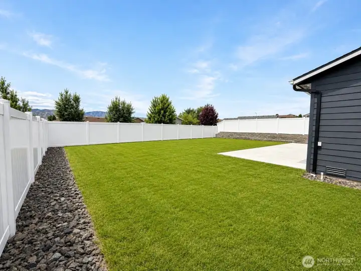 Massive fenced back yard