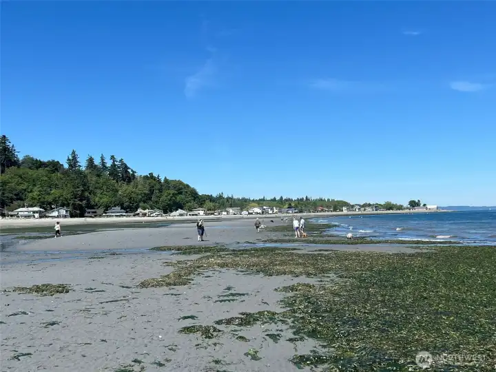 Lovely living beach!