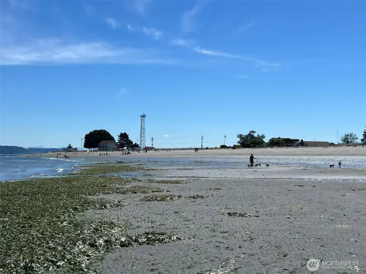 Looking towards the lighthouse