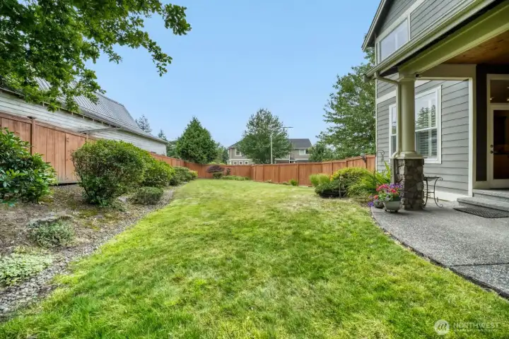 Back Yard