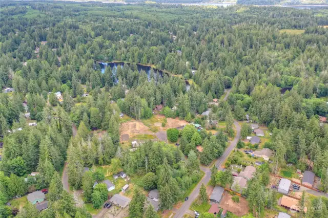Drone neighborhood shot.