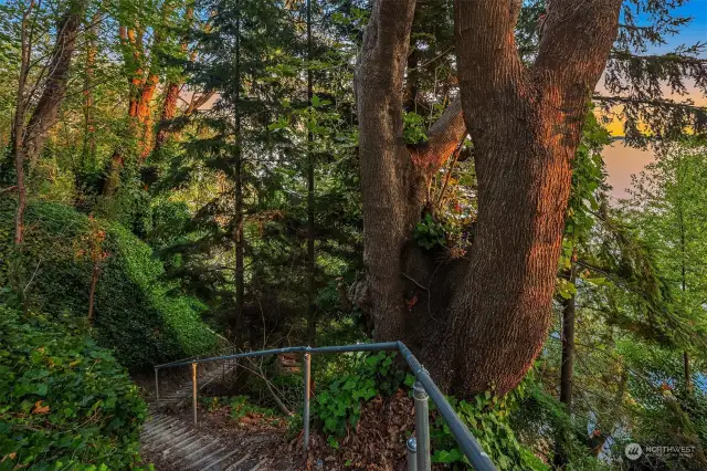 Staircase down to beach area.