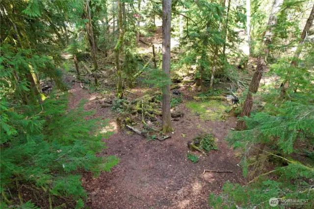 This property will not disappoint.. it is your own forest!