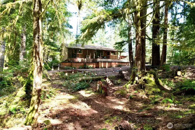 Trails go throughout the property!