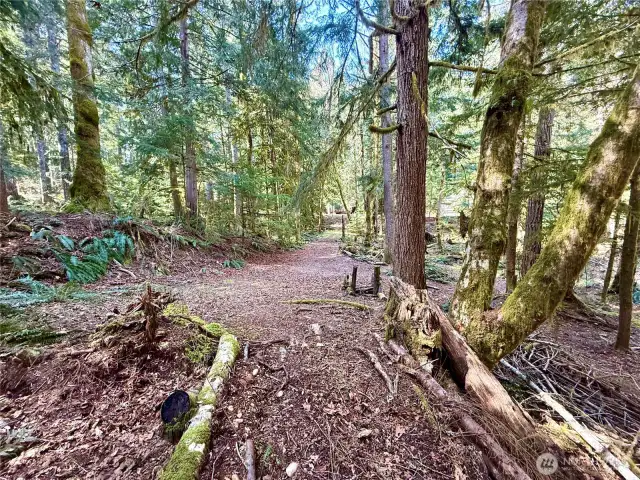 3rd lot with separate driveway.