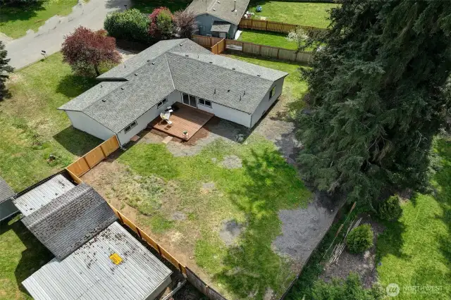 So many possibilities for this back yard.