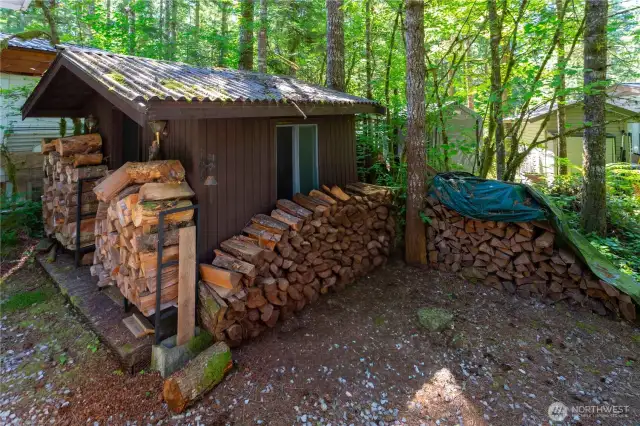 Shed with a lot of fire wood in reserve