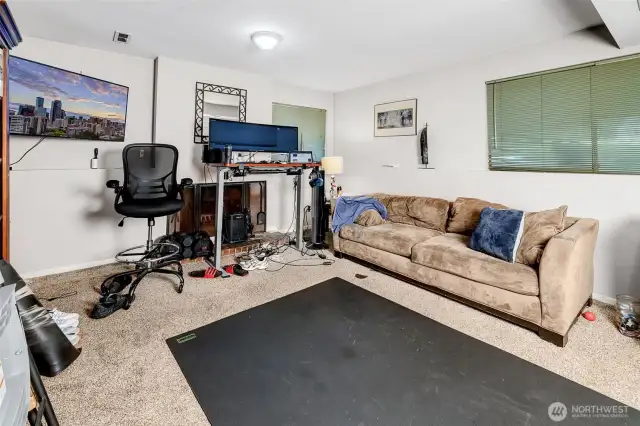 Lower Level recreation room with 2nd fireplace (currently used as  hi-tech home office).