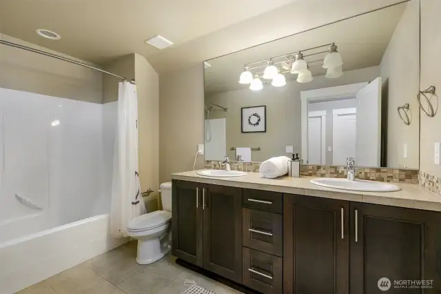 Lower level bathroom