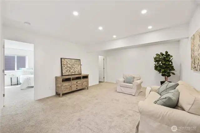 Huge Recreation Room on lower floor