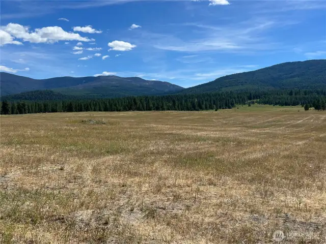 Lots of wildlife cross this property. The seller has lots of pictures of wildlife visitors.