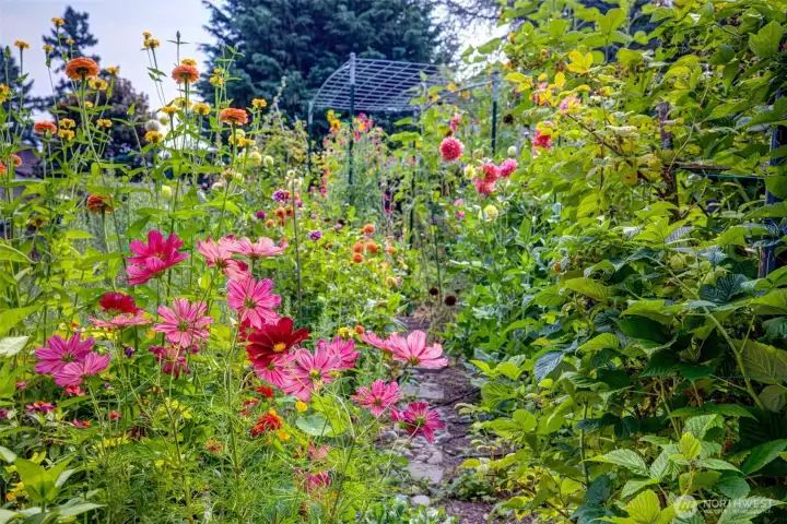 Your own cut flower garden.