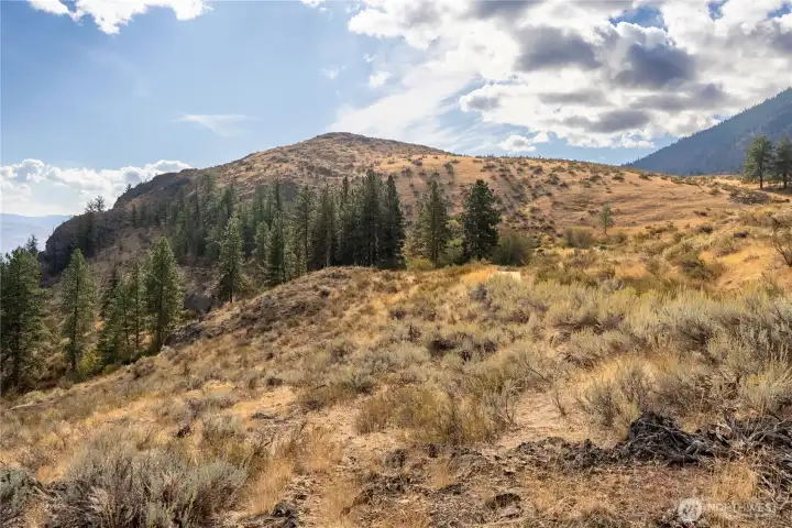 36 acres!