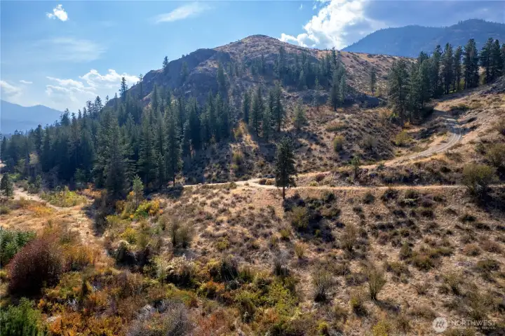 Trees, mountains & lovely fall foliage.