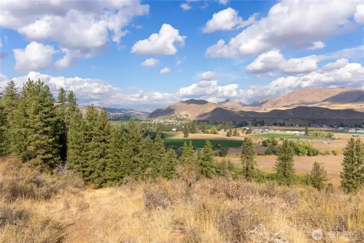 Upper valley views.