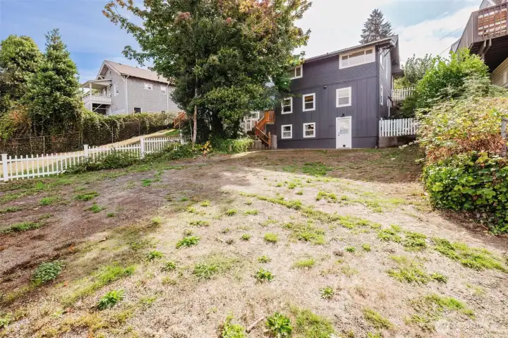 Backyard