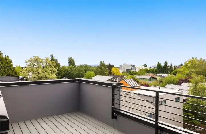 Enjoy the tree tops from above on your rooftop deck overlooking Cap Hill.