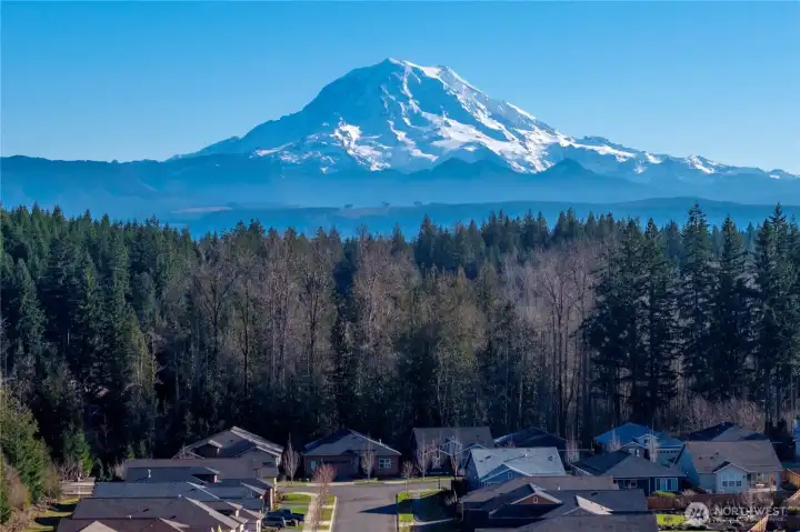 Views of majestic Mt. Rainier are abundant from Trilogy!