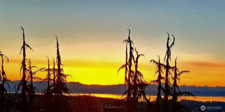 Soak in the views at one of the highest points of Camano Island - with views of Mt. Baker, the Cascade Mountains, Triangle Cove, Port Susan Bay - all the way south to Everett.