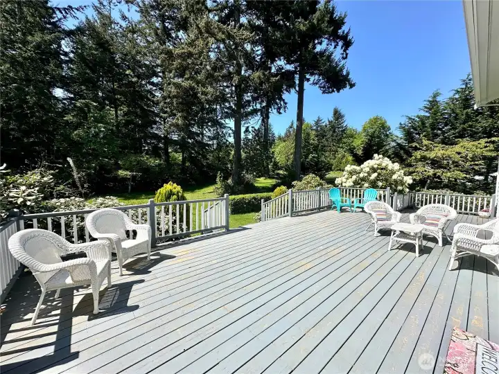 Gorgeous flowering plants, Rhododendrons, Azaleas & others - amongst mature trees and sprawling yard.