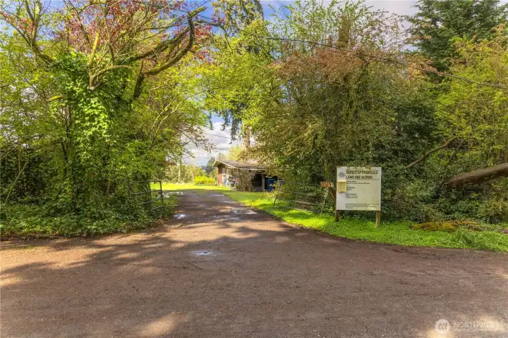 Driveway #1 on South side of property looking Westerly from 118th Ave SE.
