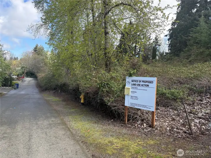 Lower Western Property Line on 117th Ave SE.