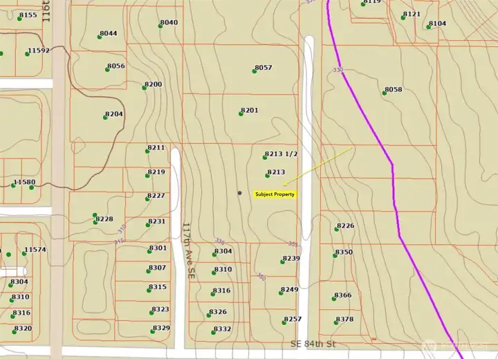 King County Topo Map.