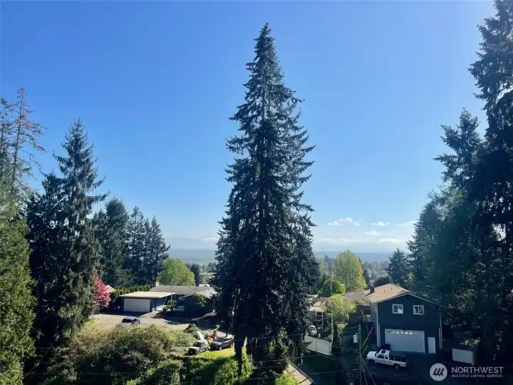 View from the deck.